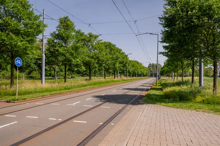 Foto 29 van De Lairesselaan 177