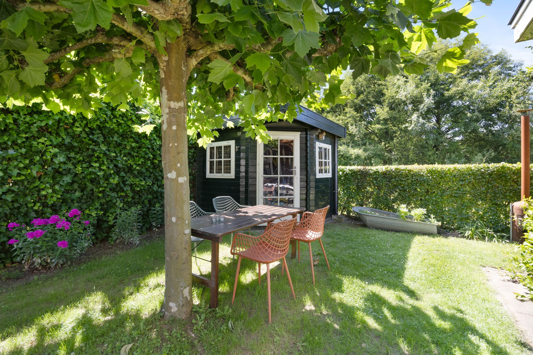 Foto 3 van Wegenschouw 7