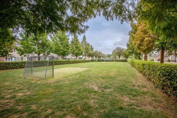 Foto 36 van Knotwilgenstraat 4