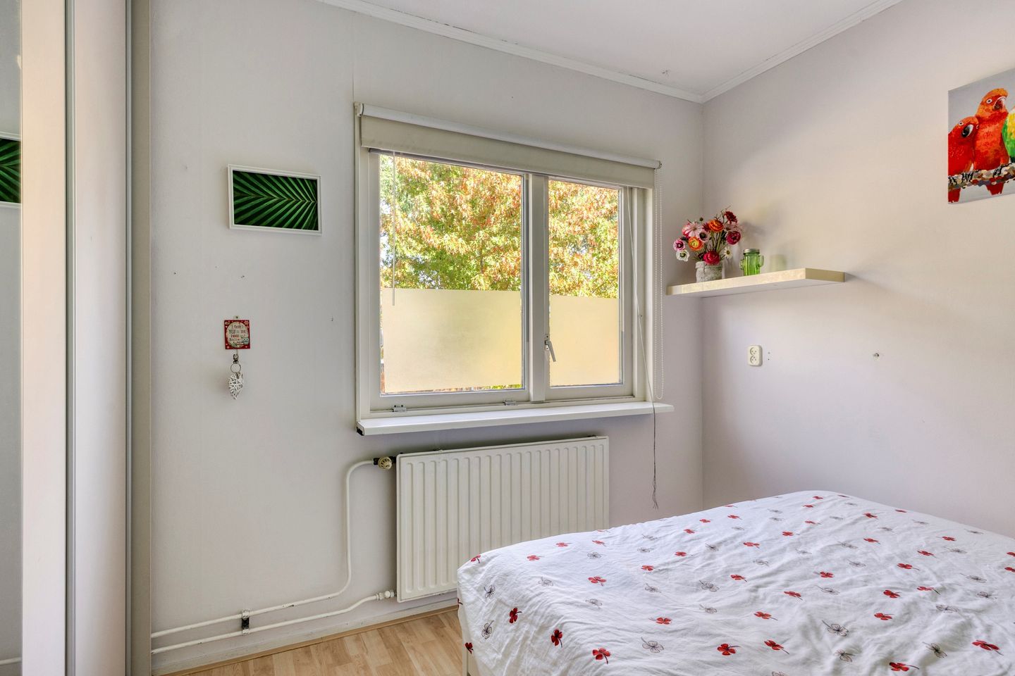 Foto 19 van Helena Verburgstraat 40