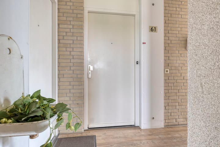 Foto 6 van Hannie Schaftstraat 61