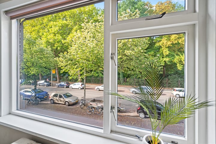 Foto 8 van Amsterdamsestraatweg 461-A