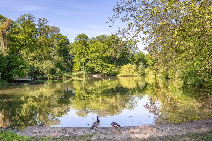 Foto 26 van Amsterdamsestraatweg 461-A