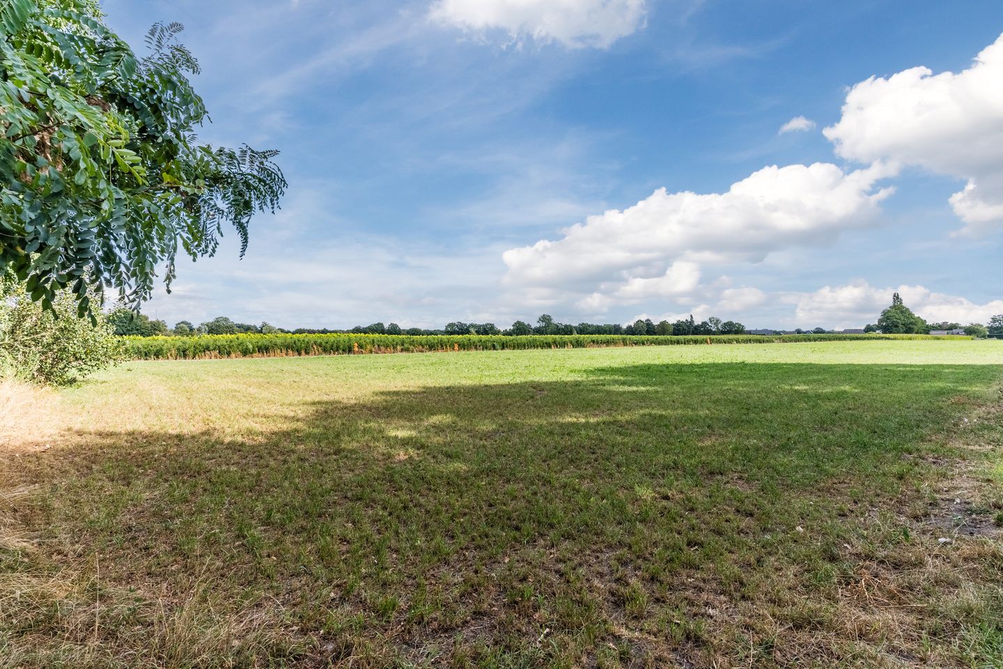 Foto 40 van Karrenwiel 3