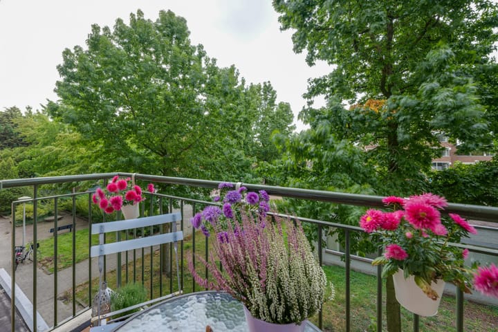 Foto 14 van Eastonstraat 217