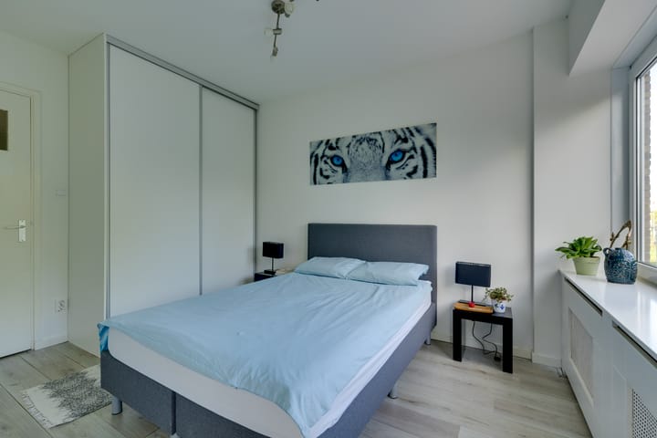 Foto 19 van Eastonstraat 217