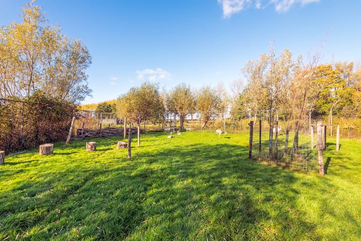 Foto 30 van Braakdijk 24