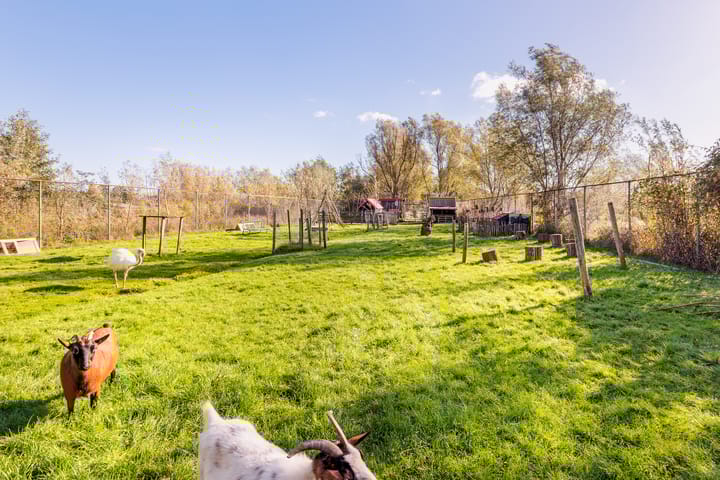 Foto 31 van Braakdijk 24