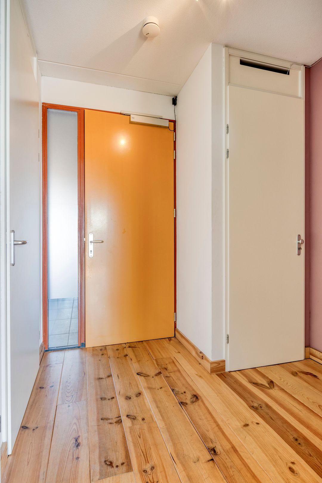 Foto 8 van Paulus Potterstraat 35