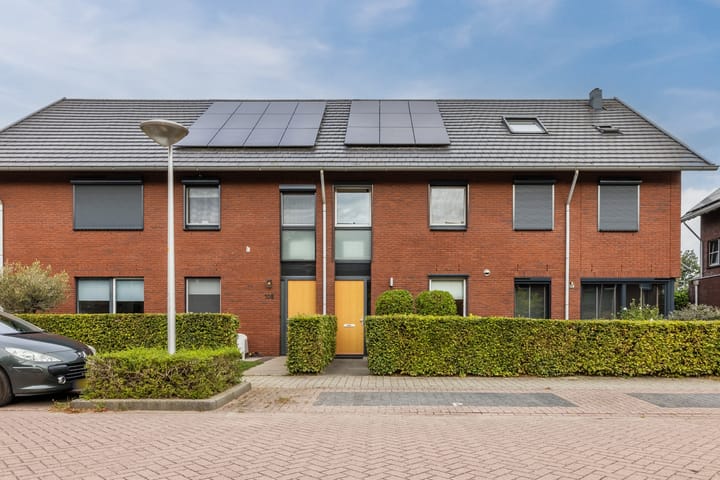 Black Alicante 106 main image