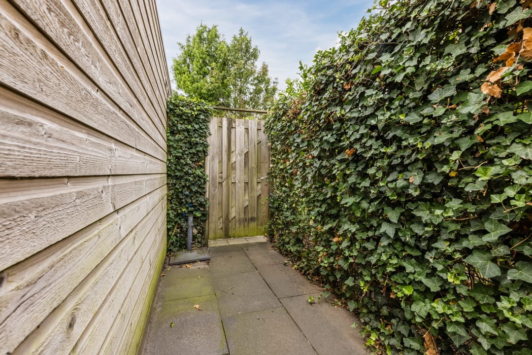 Foto 41 van Black Alicante 106