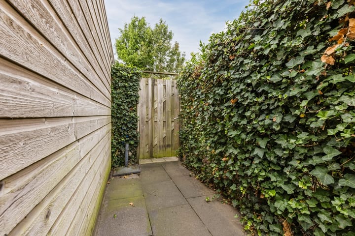 Foto 41 van Black Alicante 106