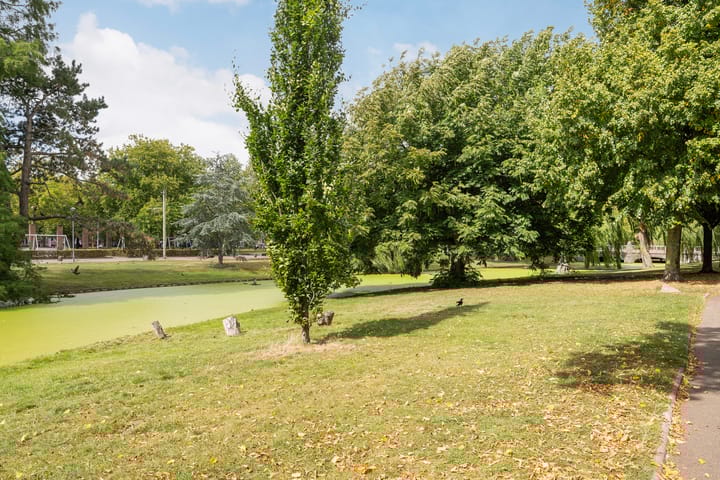 Foto 26 van Volmarijnstraat 143-A