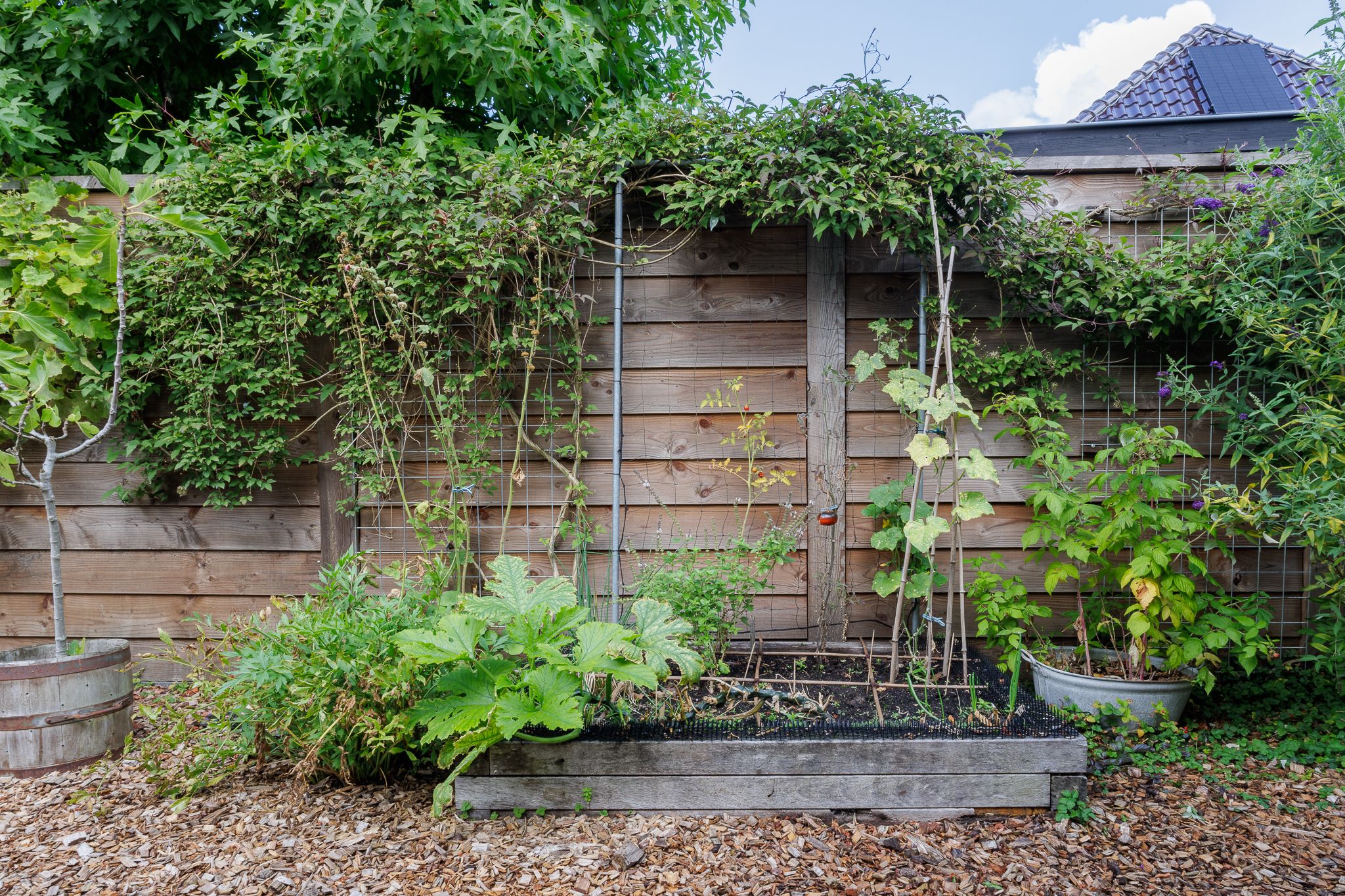 Foto 48 van Kerkstraat 36