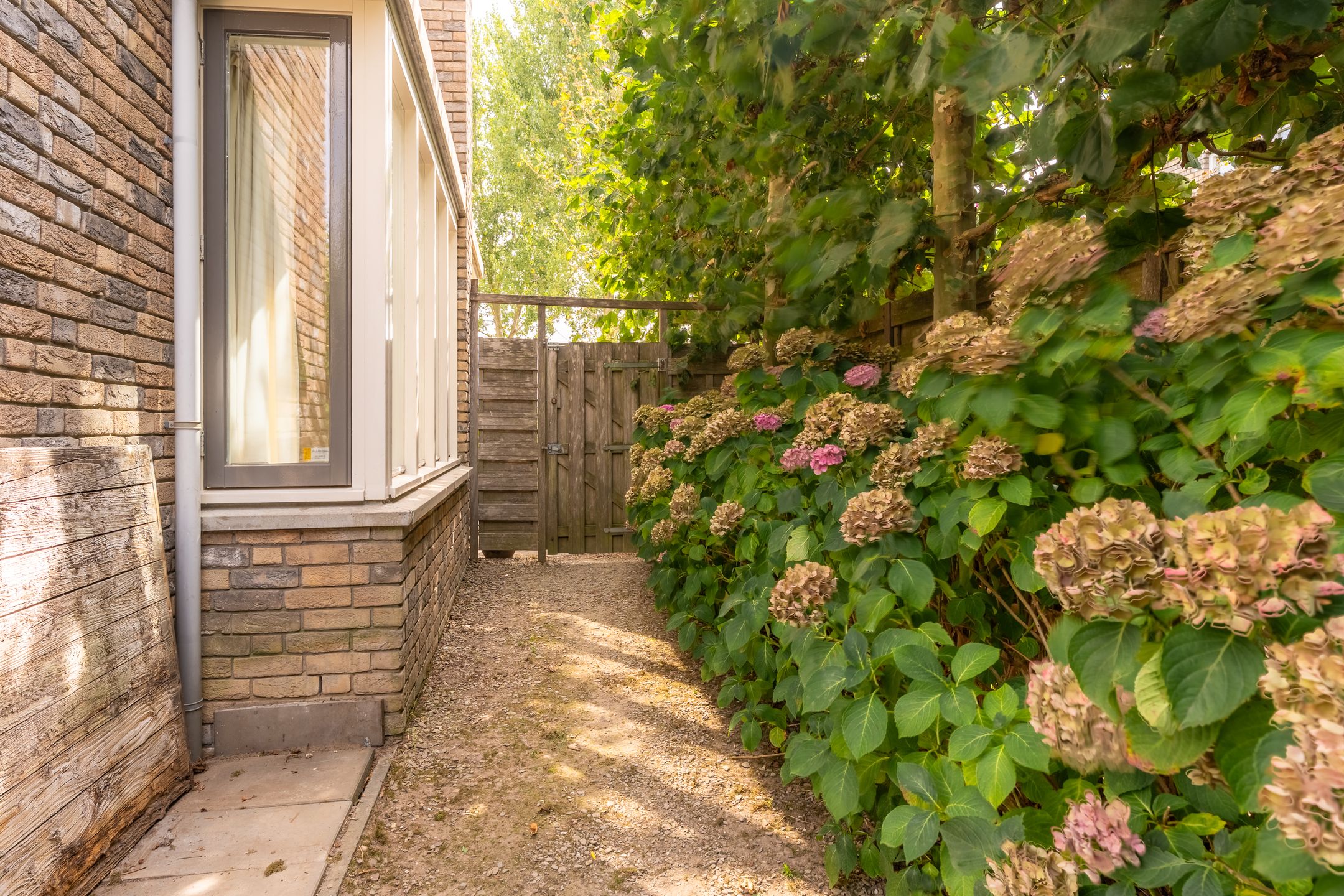 Foto 12 van Paleismuur 70