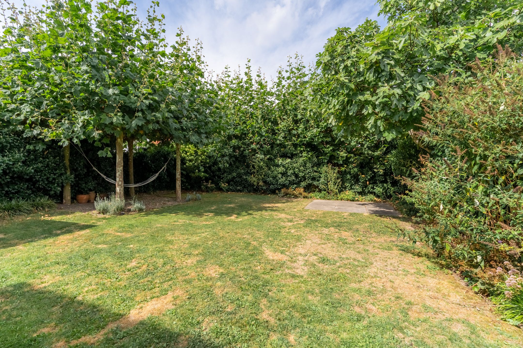 Foto 15 van Paleismuur 70