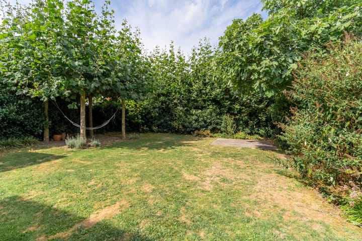 Foto 15 van Paleismuur 70