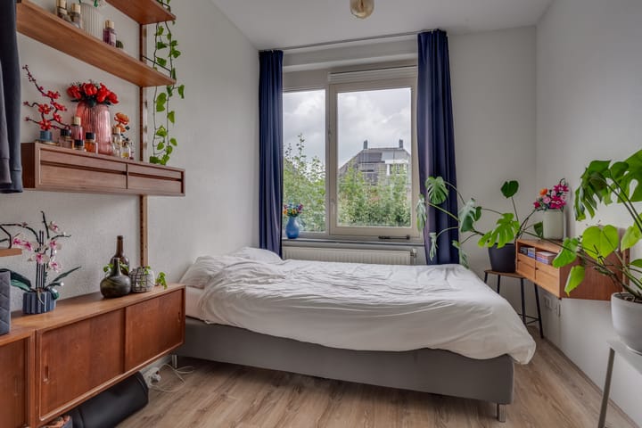 Foto 37 van Paleismuur 70