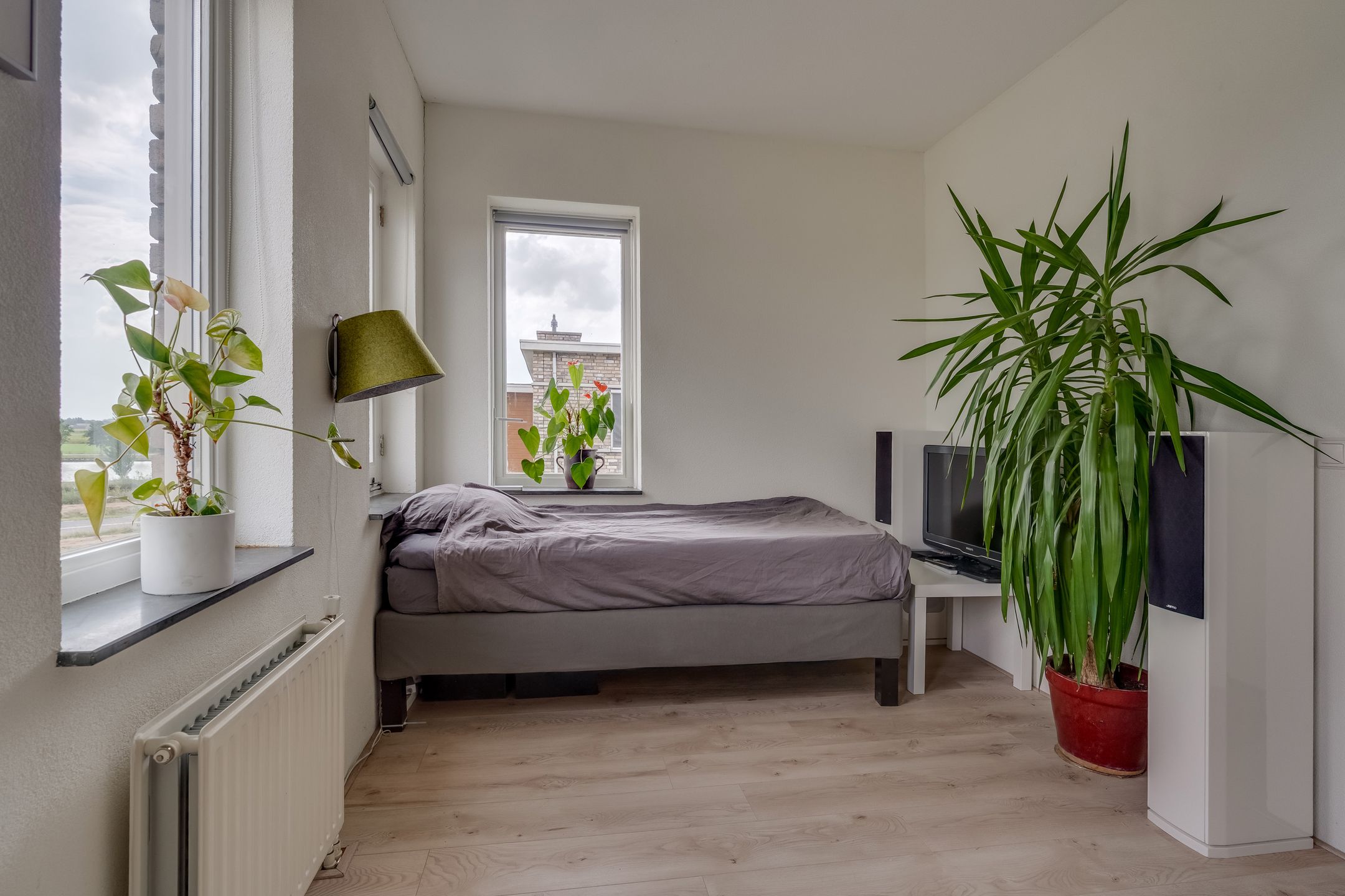 Foto 42 van Paleismuur 70