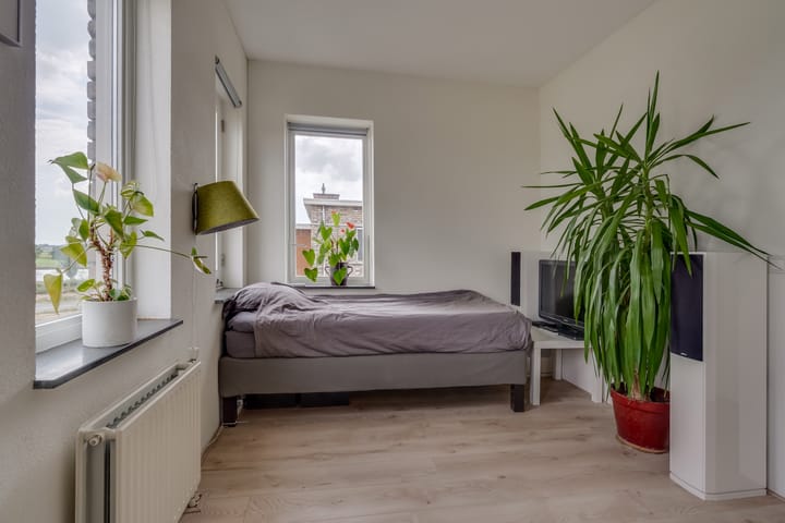 Foto 42 van Paleismuur 70