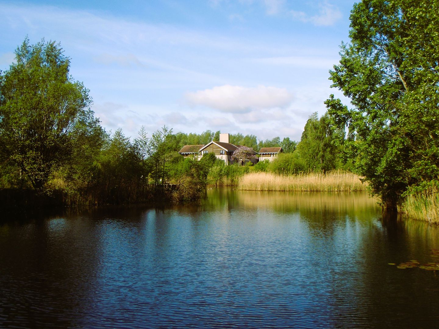 Valkstraat 22 - Overasselt - Afbeelding 6