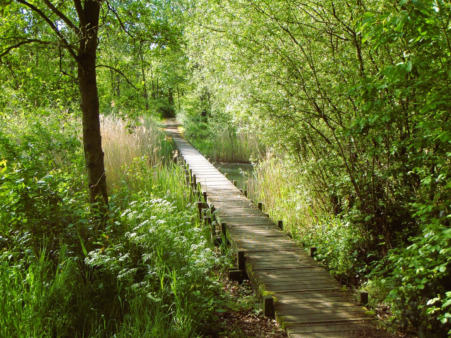 Valkstraat 22 - Overasselt - Afbeelding 7