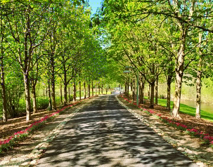 Foto 38 van Valkstraat 22