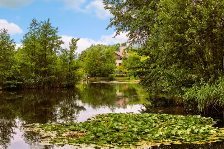 Foto 41 van Valkstraat 22