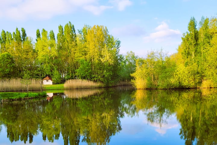 Foto 42 van Valkstraat 22