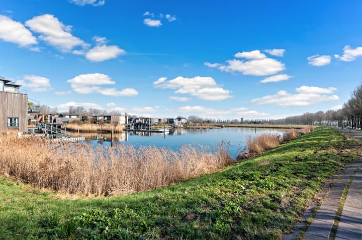 Foto 21 van Aalscholverstraat 23