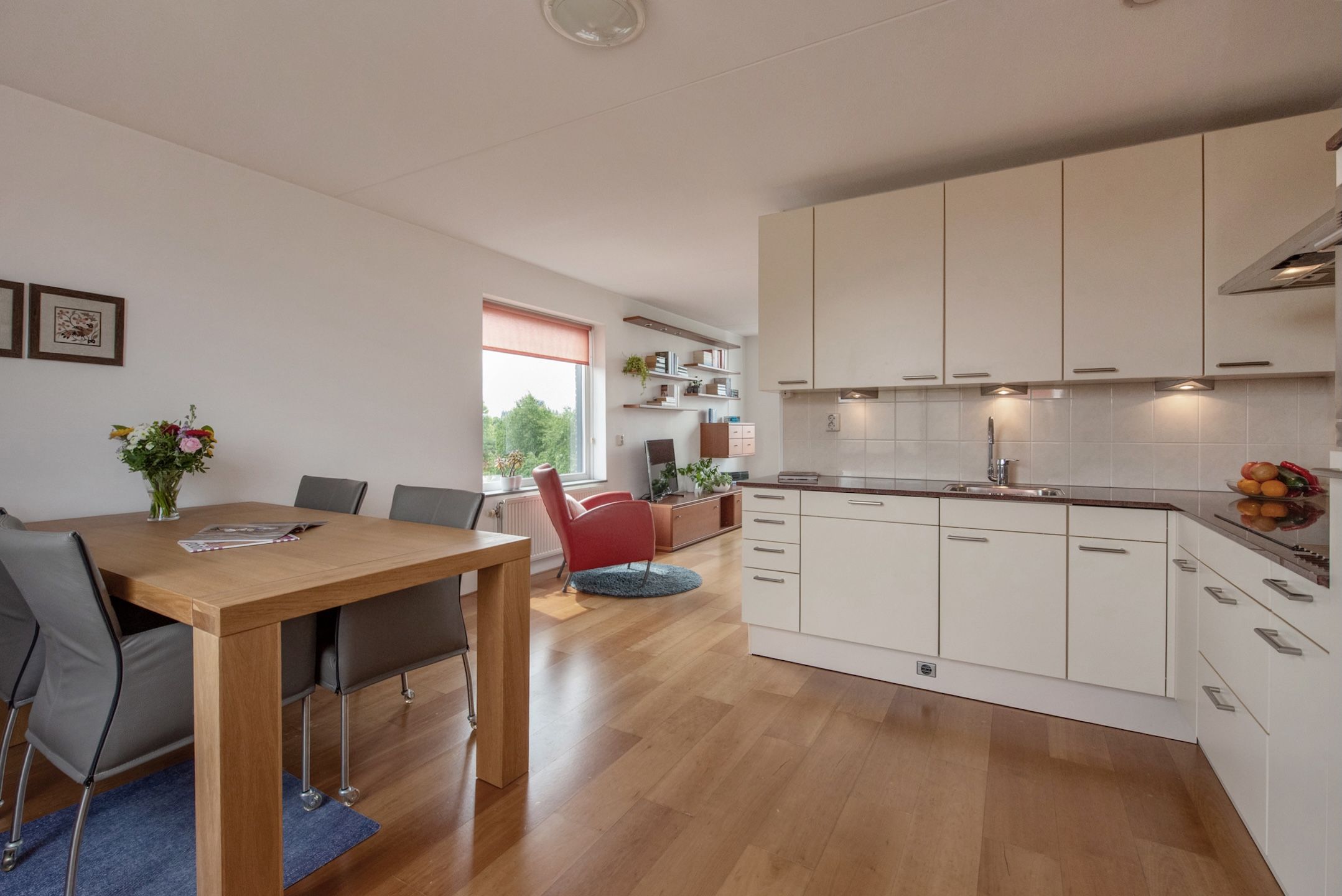 Photo 3 of Bieremalaan 113