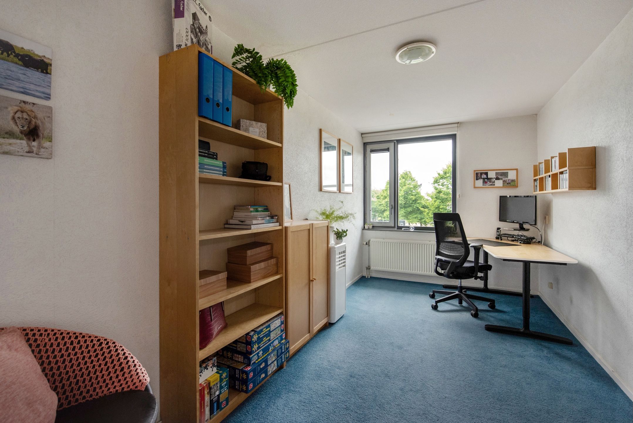 Photo 18 of Bieremalaan 113