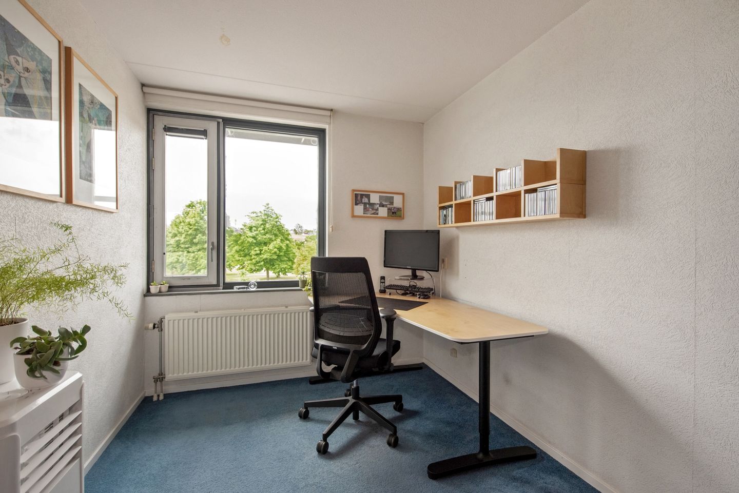 Photo 19 of Bieremalaan 113