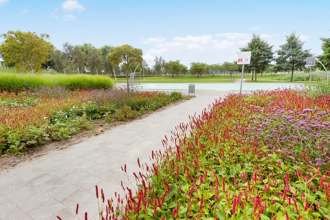 Photo 28 of Bieremalaan 113