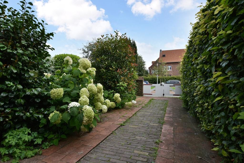 Photo 14 of Kwartellaan 10