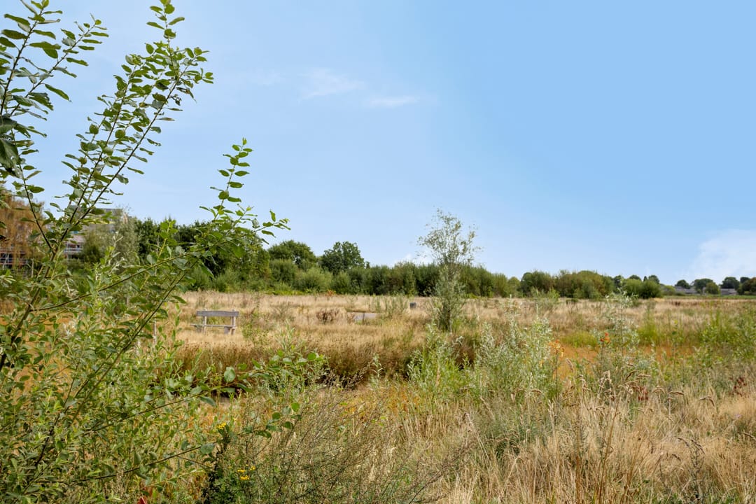 Photo 73 of De Huysacker 19