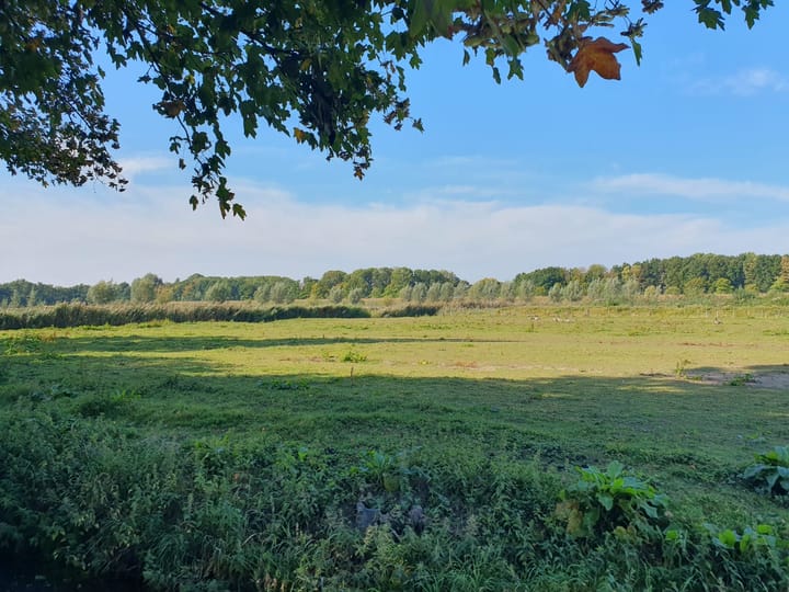 Foto 53 van Ouwelandsestraat 55