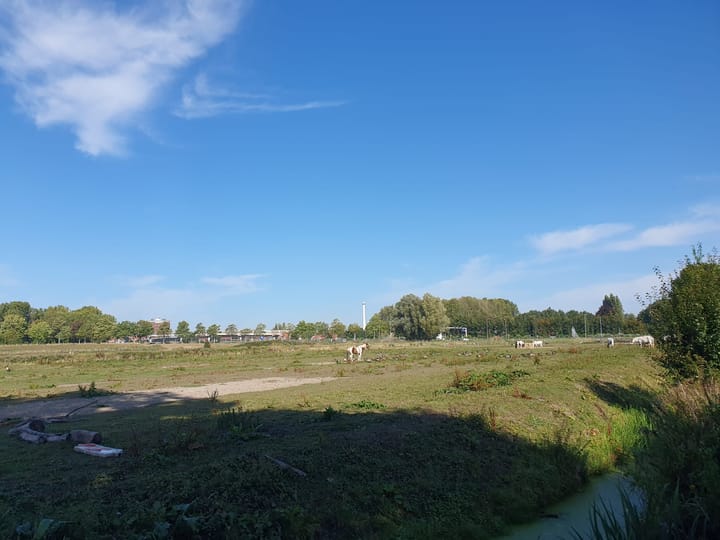 Foto 54 van Ouwelandsestraat 55