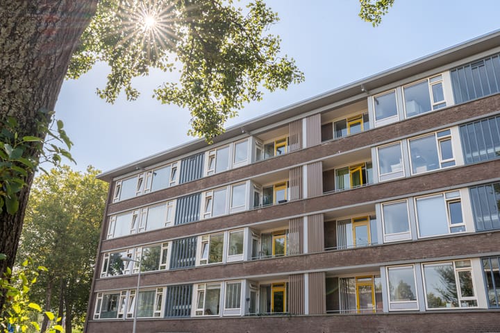 Foto 42 van Wilhelmina Druckerstraat 11-4