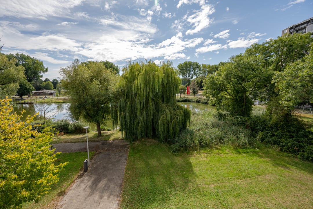 Foto 16 van Verboomstraat 275