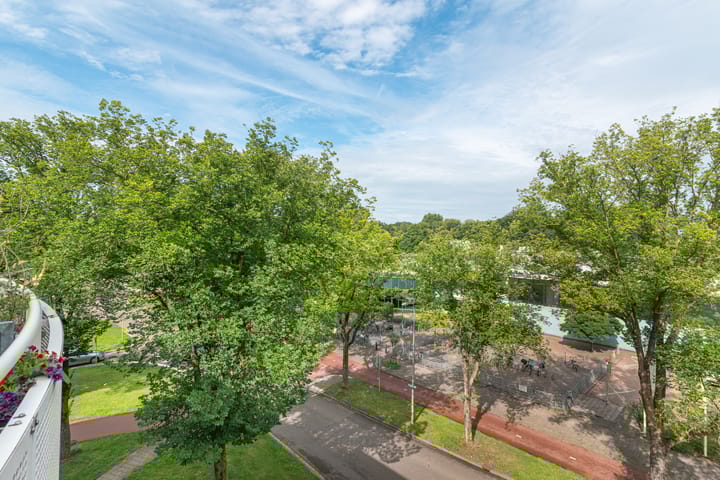 Photo 17 of Paranádreef 123