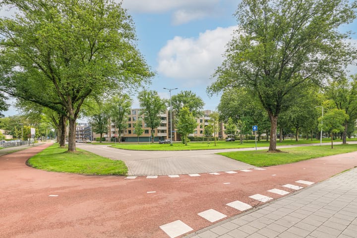 Photo 27 of Paranádreef 123