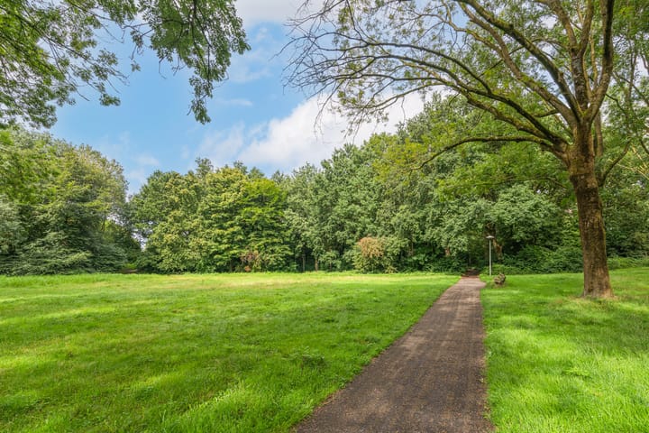 Photo 29 of Paranádreef 123