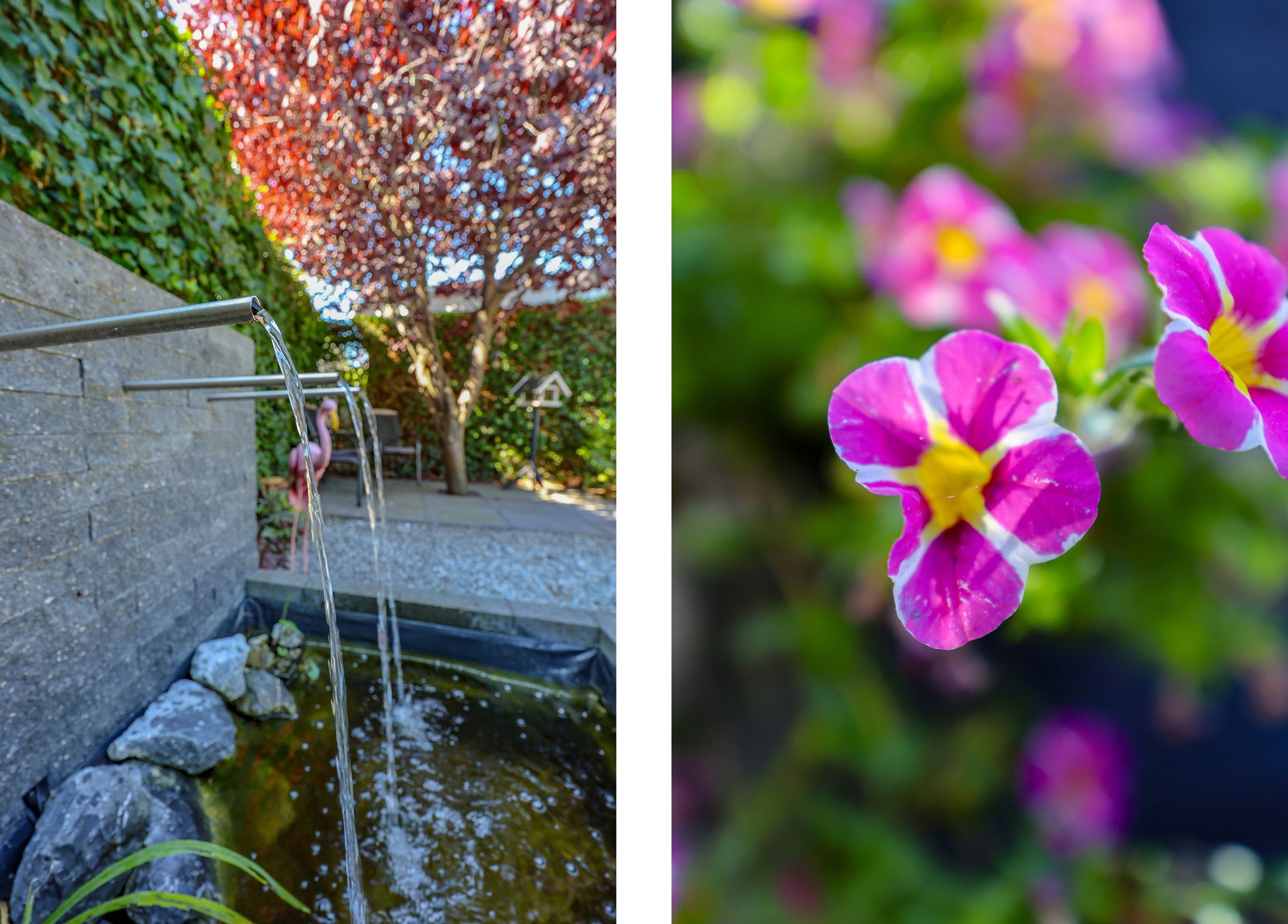 Foto 30 van Marifoon 16