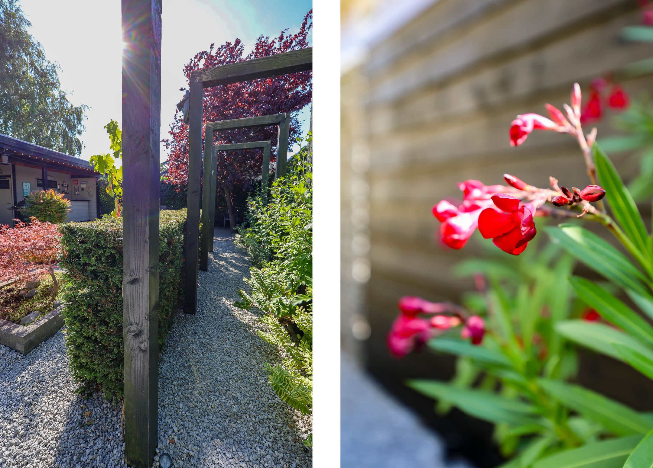 Foto 36 van Marifoon 16