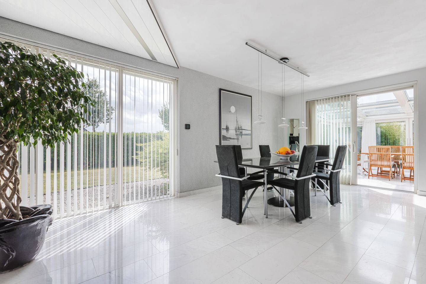 Foto 4 van Zwarte Dolfijn 26