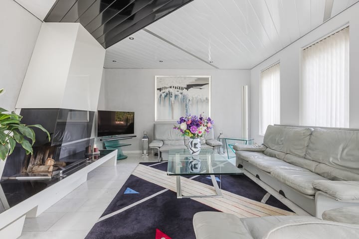 Photo 7 of Zwarte Dolfijn 26