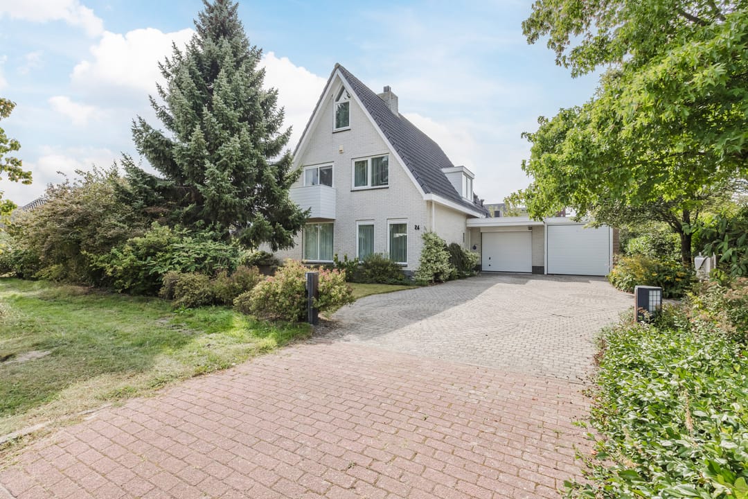 Foto 1 van Zwarte Dolfijn 26