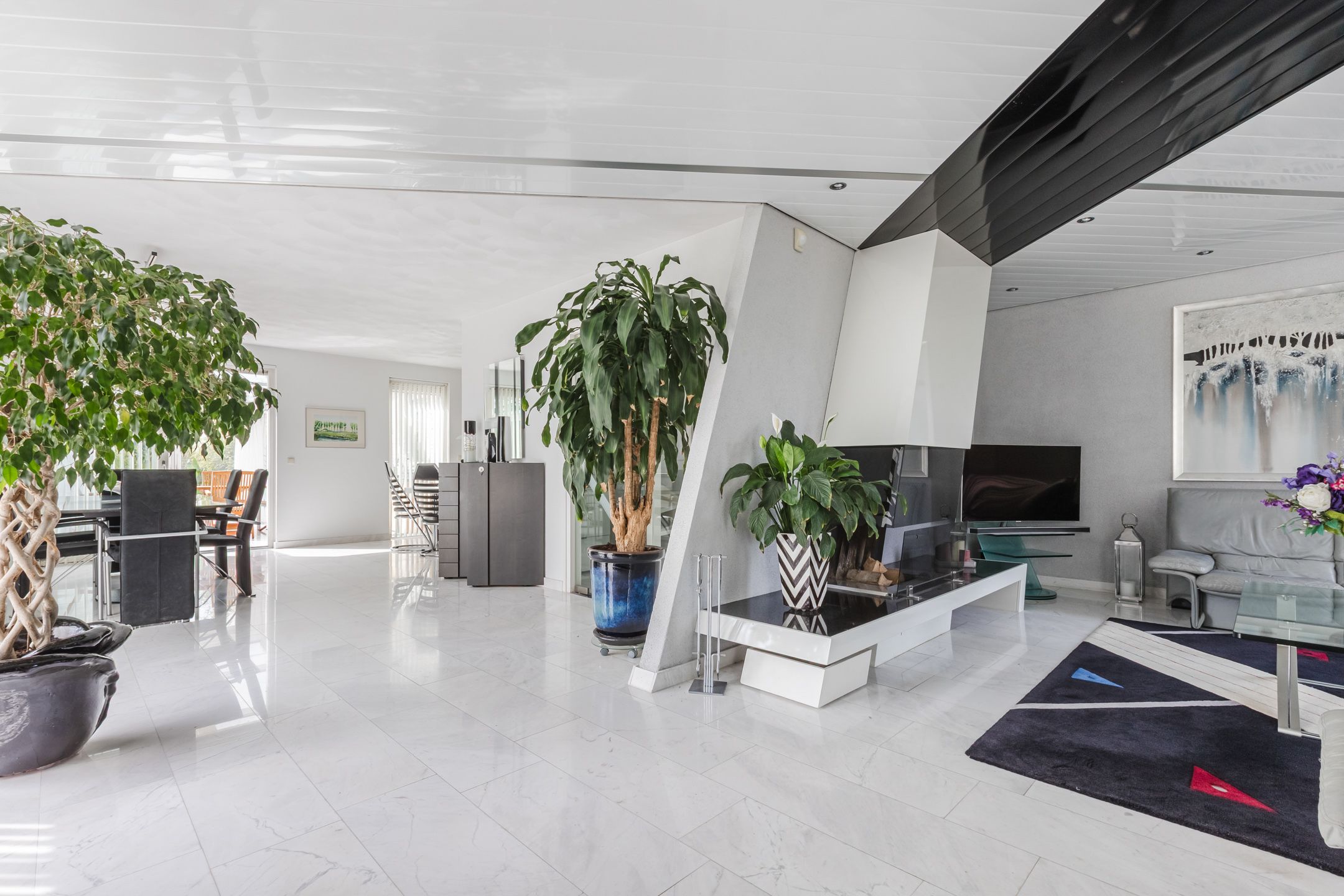 Foto 9 van Zwarte Dolfijn 26