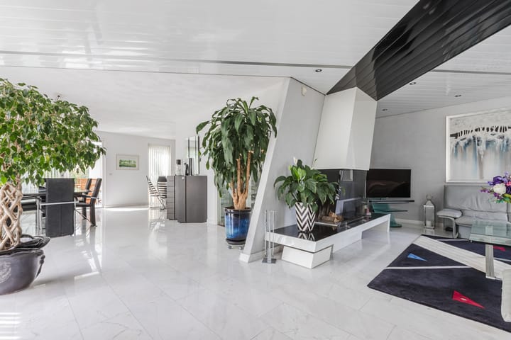 Photo 9 of Zwarte Dolfijn 26